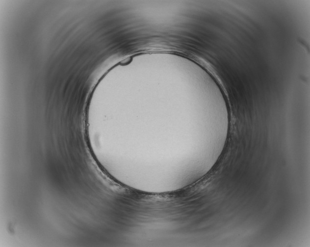 X0000100391195200806271350