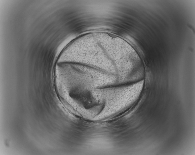 X0000100391196200806271350