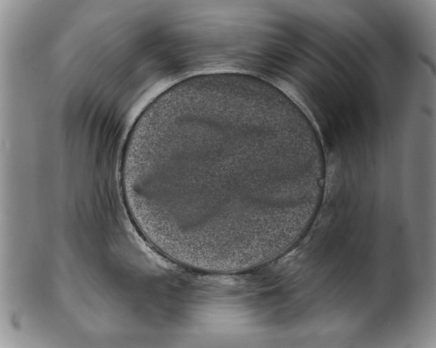 X0000100391197200806271350