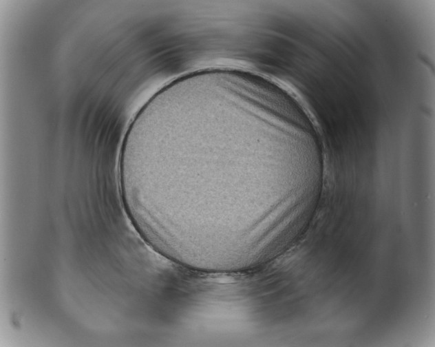 X0000100391199200806271350