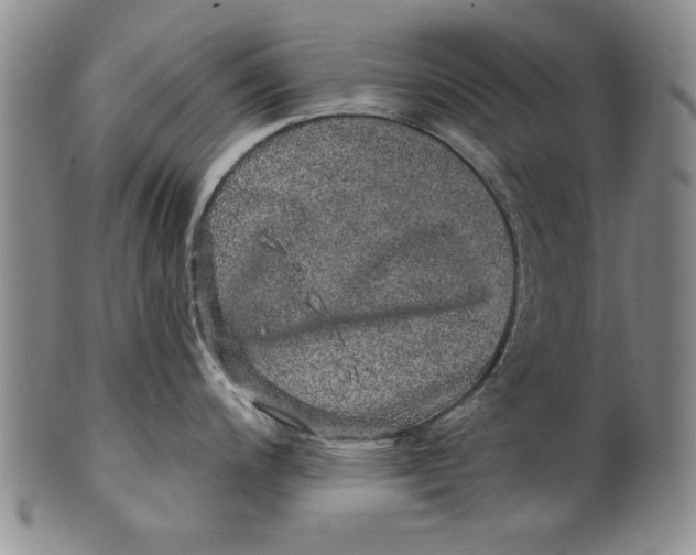 X0000100391200200806271350