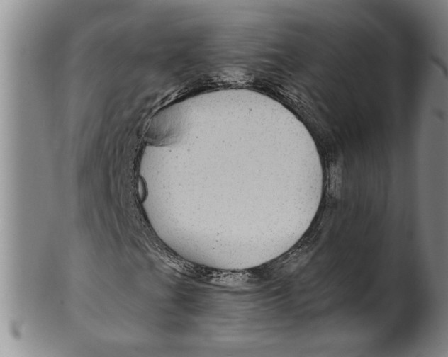 X0000100391201200806271349