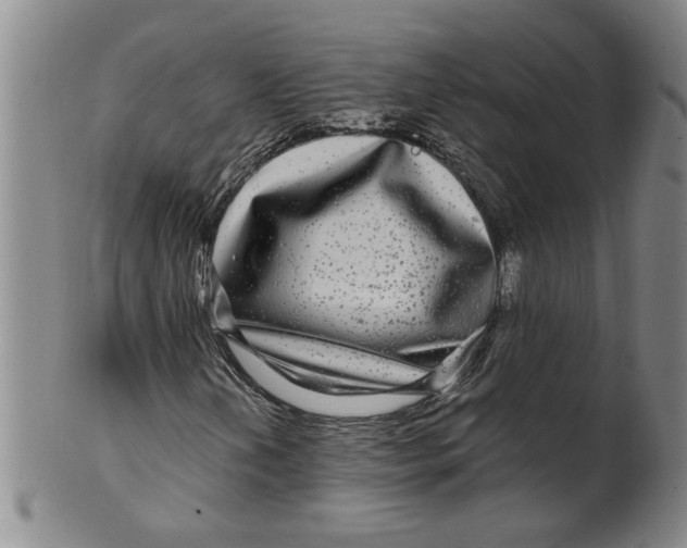 X0000100391202200806271349