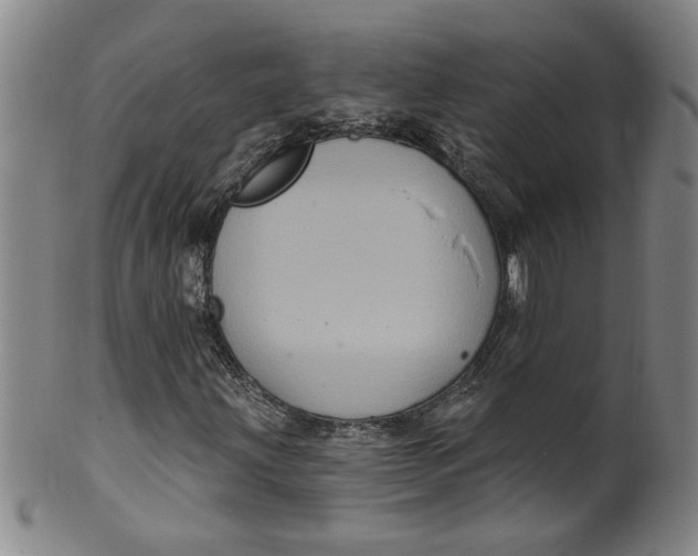 X0000100391203200806271349