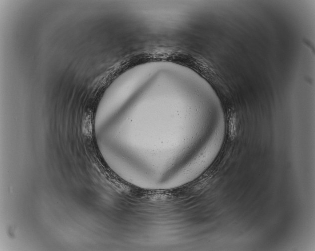 X0000100391204200806271349