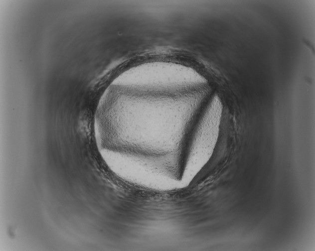 X0000100391206200806271349