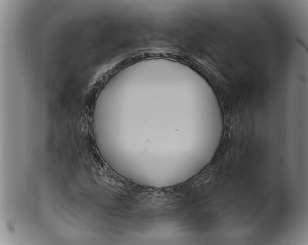 X0000100391207200806271349