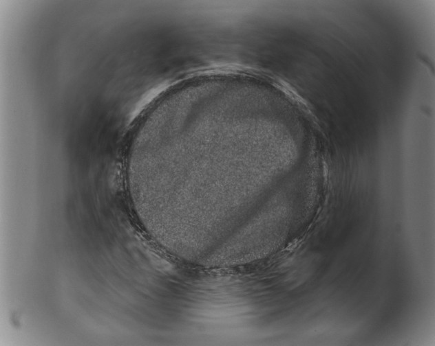 X0000100391208200806271349