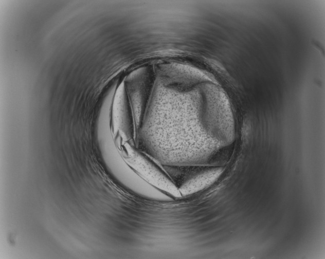 X0000100391209200806271349