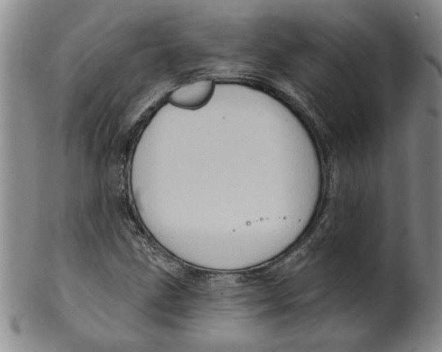 X0000100391211200806271349