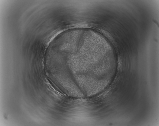 X0000100391212200806271349