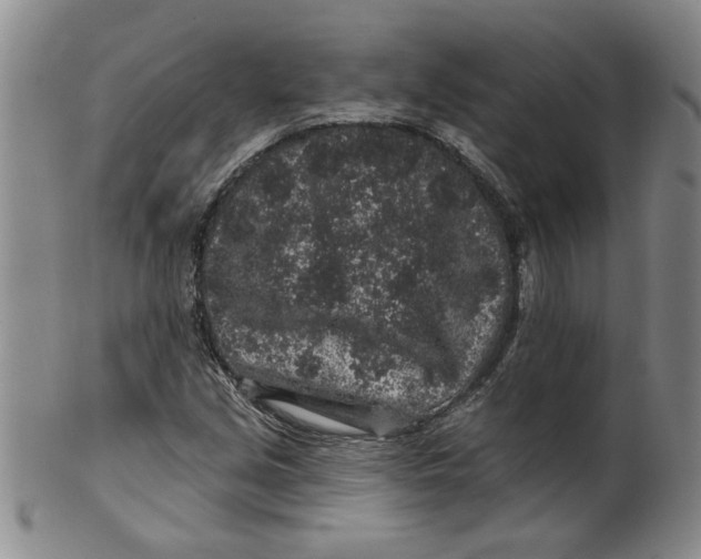 X0000100391213200806271349