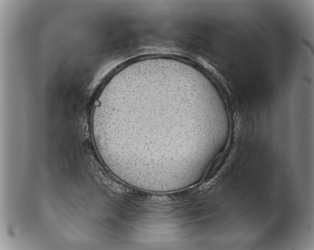 X0000100391215200806271349