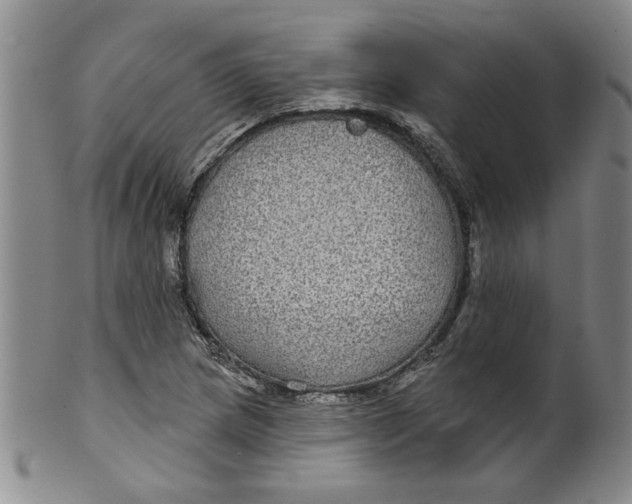 X0000100391217200806271349