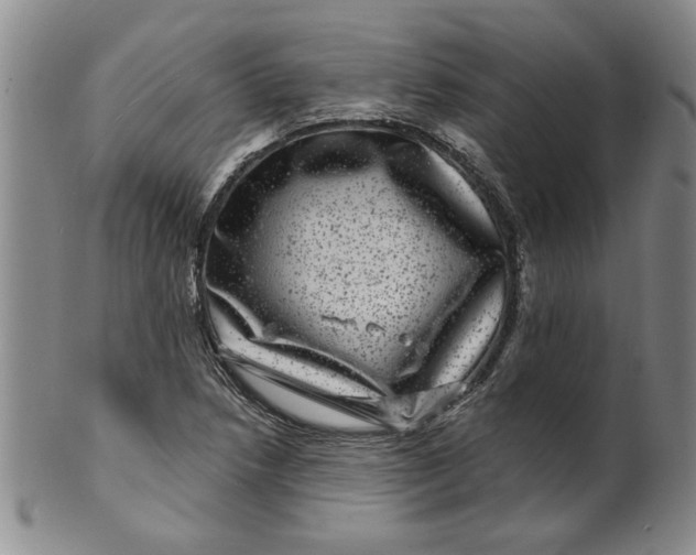 X0000100391218200806271349