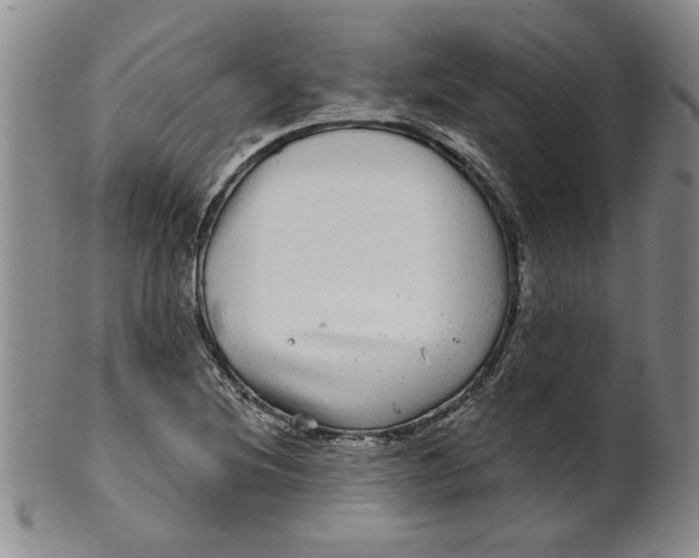 X0000100391220200806271349