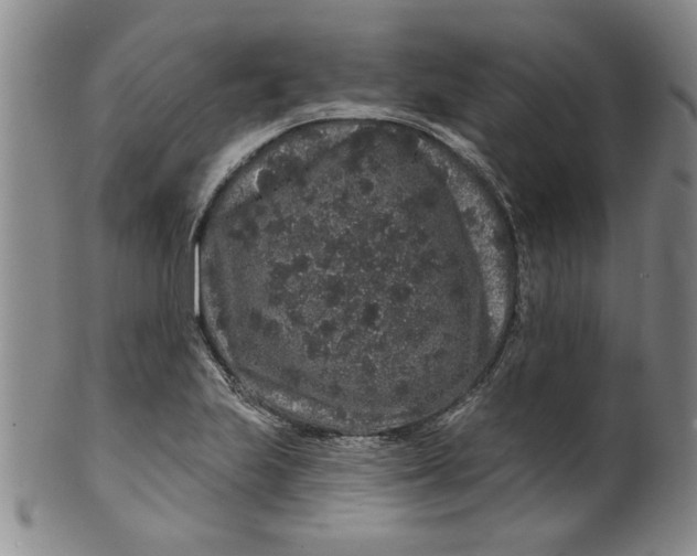 X0000100391223200806271349