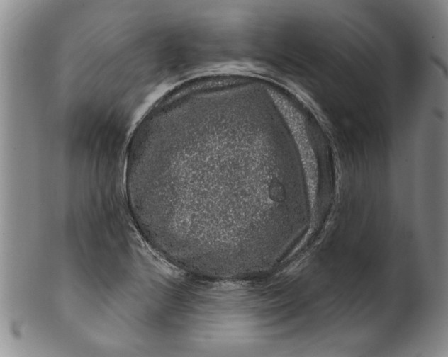 X0000100391224200806271350