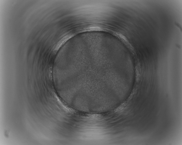 X0000100391225200806271350