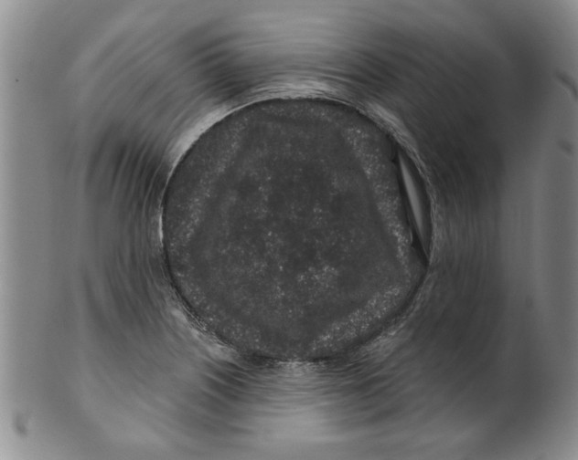 X0000100391226200806271350