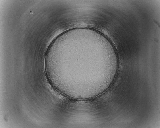 X0000100391227200806271350