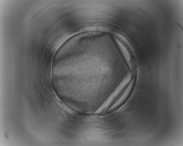 X0000100391228200806271350