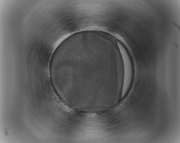 X0000100391230200806271350