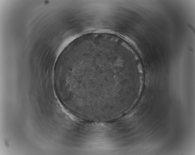 X0000100391231200806271350