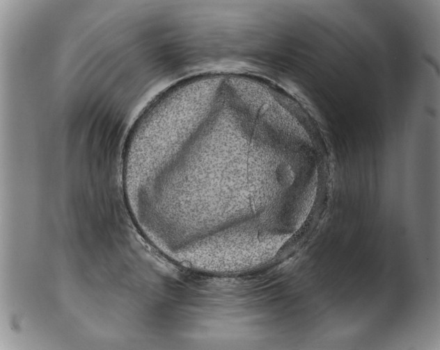 X0000100391232200806271350