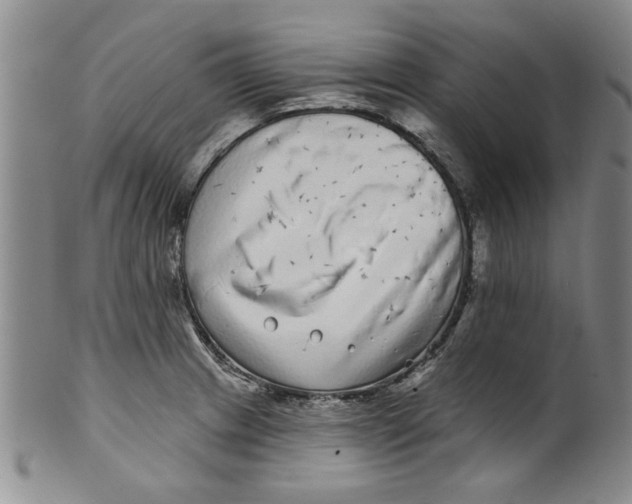 X0000100391233200806271350