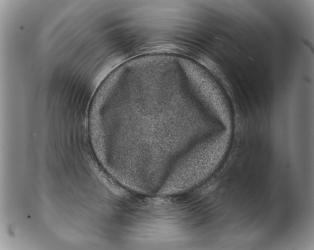 X0000100391234200806271350