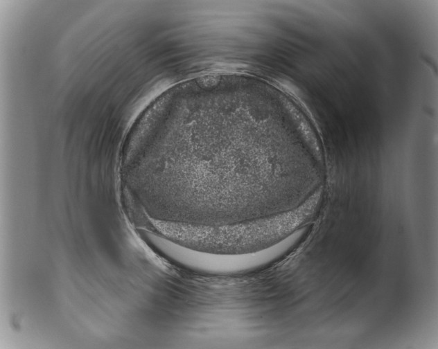 X0000100391235200806271350