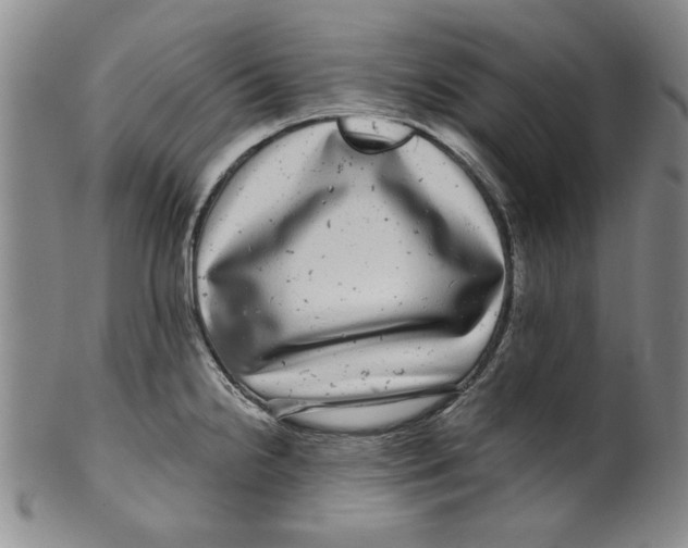 X0000100391238200806271350