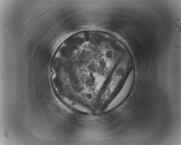 X0000100391239200806271350