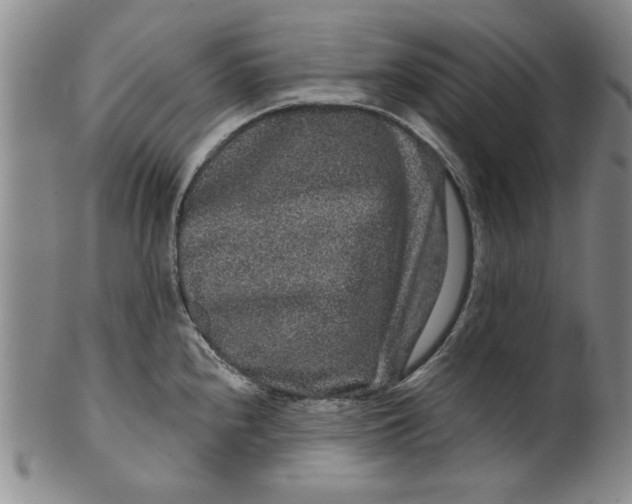 X0000100391240200806271350