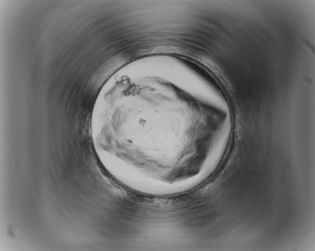 X0000100391241200806271350