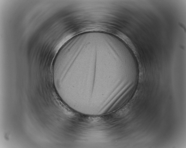 X0000100391242200806271350