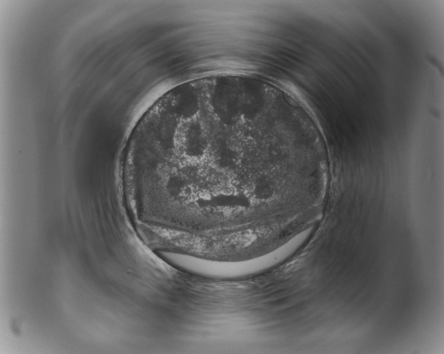 X0000100391243200806271350