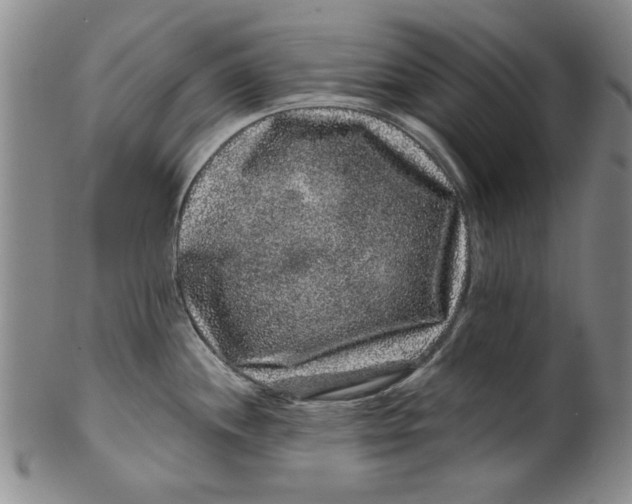 X0000100391244200806271350