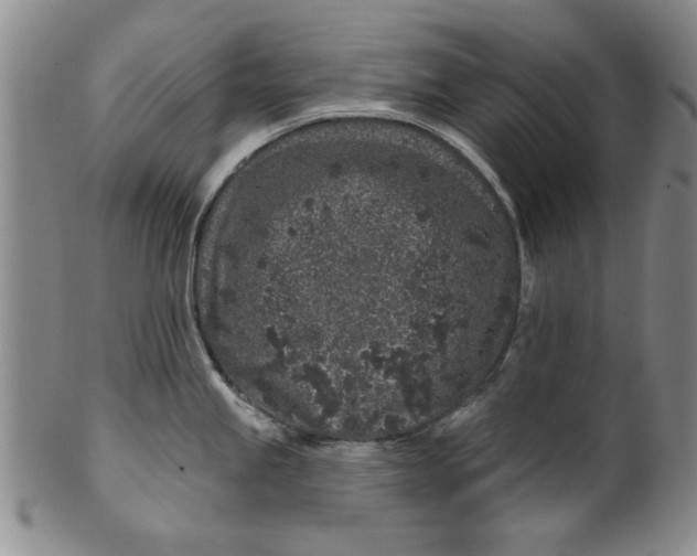 X0000100391245200806271350