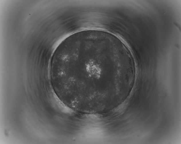 X0000100391246200806271350