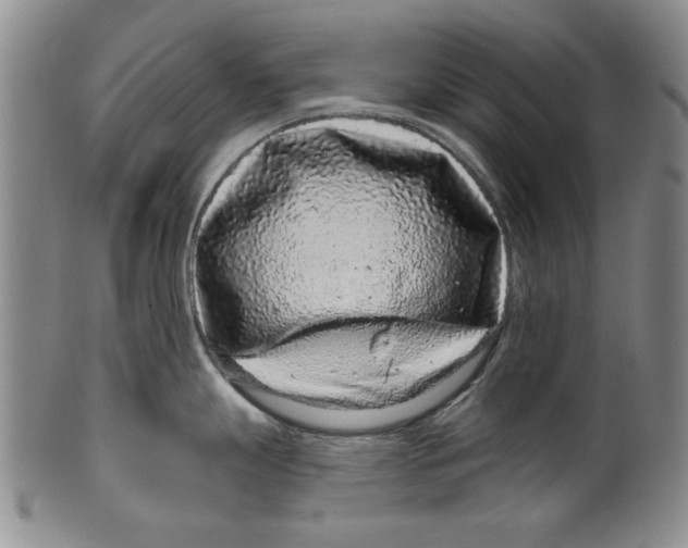 X0000100391247200806271350