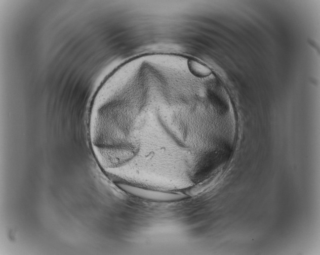 X0000100391248200806271350