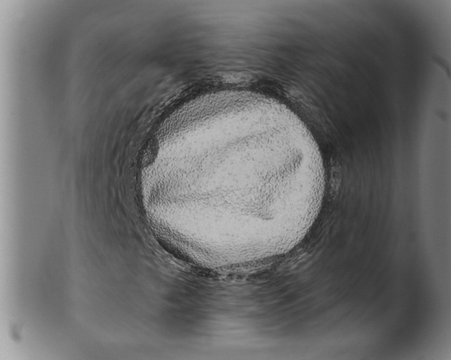 X0000100391249200806271349