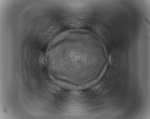 X0000100391251200806271349