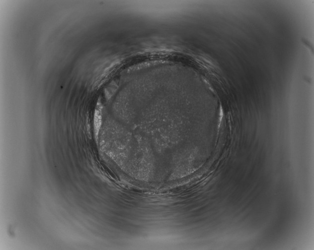 X0000100391252200806271349