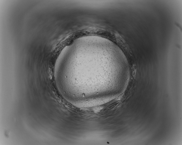 X0000100391253200806271349