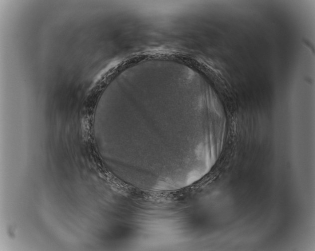 X0000100391254200806271349