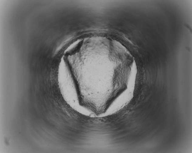 X0000100391255200806271349