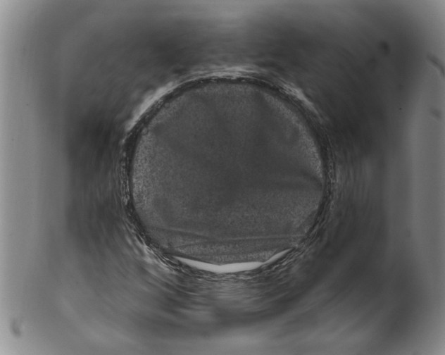 X0000100391256200806271349